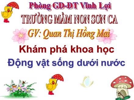 Bài giảng Mầm non Lớp Chồi - Khám phá khoa học - Động vật sống dưới nước - Quan Thị Hồng Mai