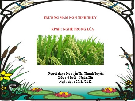 Bài giảng Mầm non Lớp Chồi - Khám phá xã hội - Nghề trồng lúa - Nguyễn Thị Thanh Tuyền