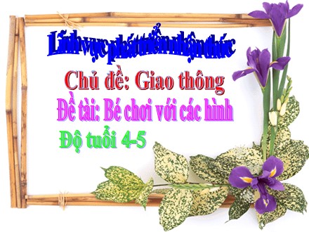 Bài giảng Mầm non Lớp Chồi - Lĩnh vực: Phát triển nhận thức - Chủ đề: Giao thông - Đề tài: Bé chơi với các hình