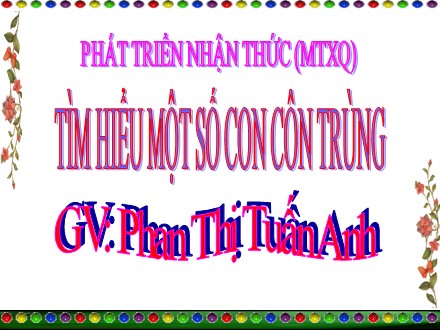 Bài giảng Mầm non Lớp Chồi - Lĩnh vực: Phát triển nhận thức - Đề tài: Tìm hiều một số con côn trùng - Phan Thị Tuấn Anh