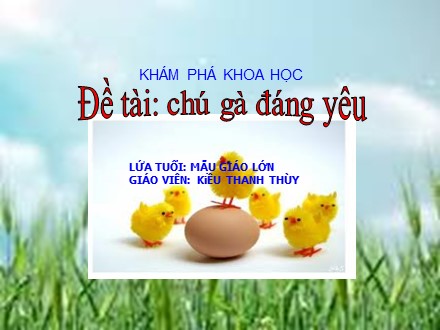 Bài giảng Mầm non Lớp Lá - Khám phá khoa học - Đề tài: Chú gà đáng yêu - Kiều Thanh Thùy