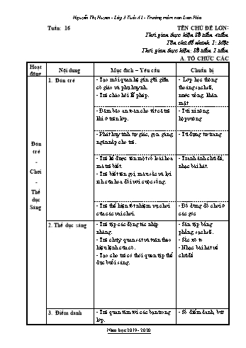 Giáo án Mầm non Lớp Mầm - Tuần 16 - Năm học 2019-2020 - Trường Mầm non Liên Hòa