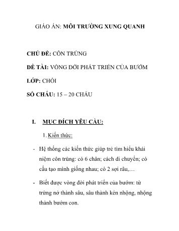 Giáo án Mầm non Lớp Chồi - Chủ đề: Côn trùng - Đề tài: Vòng đời phát triển của bướm