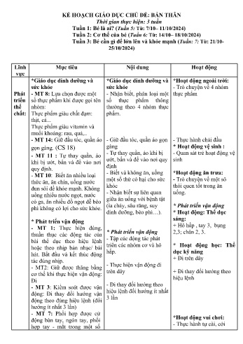 Giáo án Mầm non Lớp Lá - Chủ đề: Bản thân - Năm học 2024-2025 - Nguyễn Thị Dung
