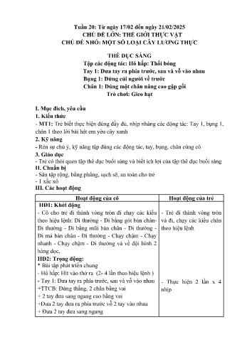Giáo án Mầm non Lớp Lá - Tuần 20: Một số loại cây lương thực - Năm học 2024-2025 - Trường Mầm non số 1 Thượng Hà