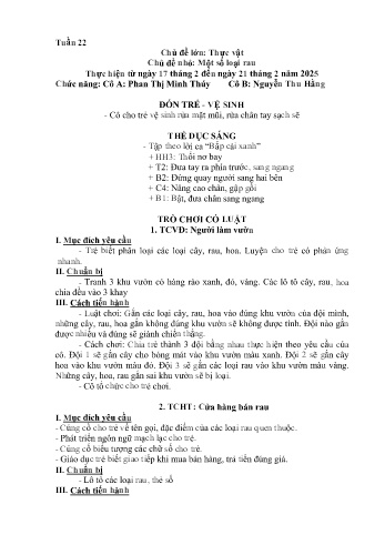 Giáo án Mầm non Lớp Lá - Tuần 22 - Chủ đề: Một số loại rau - Năm học 2024-2025 - Phan Thị Minh Thúy