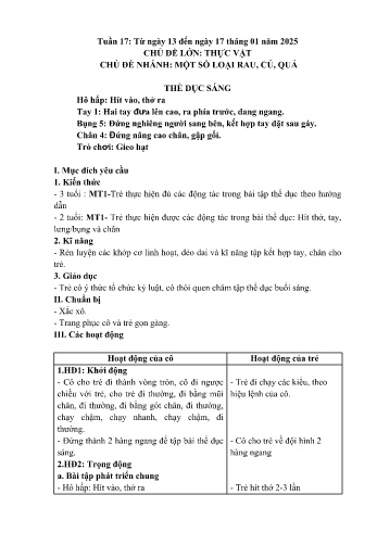 Giáo án Mầm non Lớp Mầm - Tuần 17 - Chủ đề: Một số loại rau, củ, quả - Năm học 2024-2025 - Trường Mầm non số 1 Thượng Hà