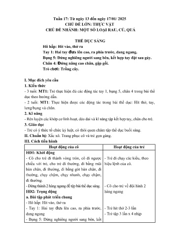 Giáo án Mầm non Lớp Mầm - Tuần 17: Một số loại rau, củ, quả - Năm học 2024-2025 - Trường Mầm non số 1 Thượng Hà