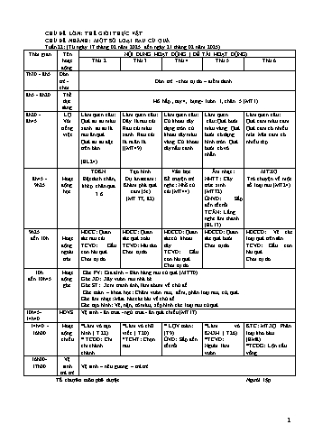 Giáo án Mầm non Lớp Mầm - Tuần 28 - Chủ đề: Một số loại rau củ quả - Năm học 2024-2025 - Trường Mầm non số 1 Kim Sơn