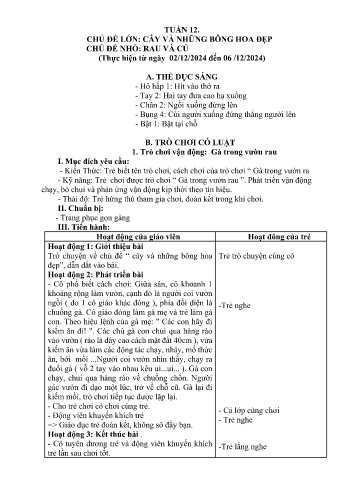 Giáo án Mầm non Lớp Nhà trẻ - Tuần 12 - Chủ đề: Rau và củ - Năm học 2024-2025 - Trường Mầm non Bát Xát