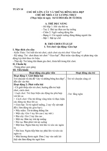 Giáo án Mầm non Lớp Nhà trẻ - Tuần 14 - Chủ đề: Cây lương thực - Năm học 2024-2025 - Trường Mầm non Bát Xát