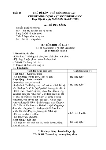 Giáo án Mầm non Lớp Nhà trẻ - Tuần 16 - Chủ đề: Động vật sống dưới nước - Năm học 2024-2025 - Trường Mầm non Bát Xát