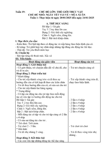 Giáo án Mầm non Lớp Nhà trẻ - Tuần 19 - Chủ đề: Ngày Tết vui vẻ. Mùa Xuân - Năm học 2024-2025 - Trường Mầm non Bát Xát