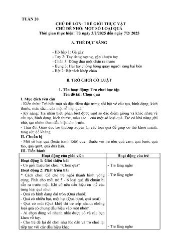 Giáo án Mầm non Lớp Nhà trẻ - Tuần 20 - Chủ đề: Một số loại quả - Năm học 2024-2025 - Trường Mầm non Bát Xát