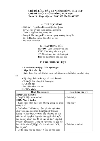 Giáo án Mầm non Lớp Nhà trẻ - Tuần 26 - Chủ đề: Những bông hoa đẹp - Năm học 2024-2025 - Trường Mầm non Bản Qua