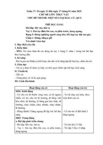 Kế hoạch bài dạy Mầm non Lớp Mầm - Tuần 17: Một số loại rau, củ, quả - Năm học 2024-2025 - Trường Mầm non số 1 Thượng Hà