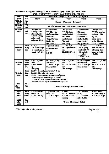 Kế hoạch bài học Mầm non Lớp Mầm - Tuần 19 - Chủ đề: Cây xung quanh bé - Năm học 2024-2025 - Trường Mầm non số 1 Kim Sơn