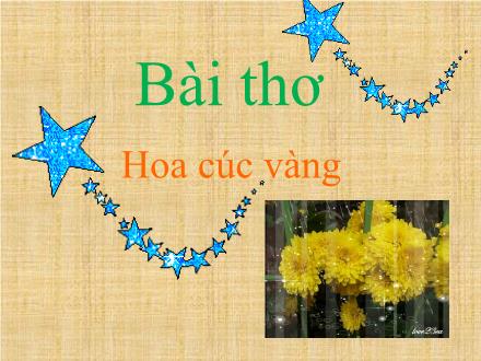 Bài giảng Mầm non Lớp Chồi - Đề tài: Thơ Hoa cúc vàng