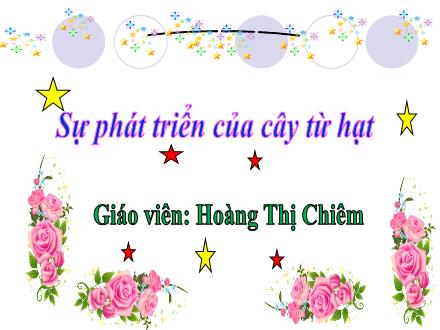 Bài giảng Mầm non Lớp Lá - Đề tài: Sự phát triển của cây từ hạt - Hoàng Thị Chiêm