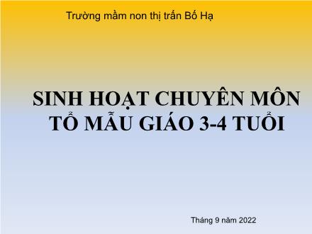 Sinh hoạt chuyên môn tổ mẫu giáo 3-4 tuổi